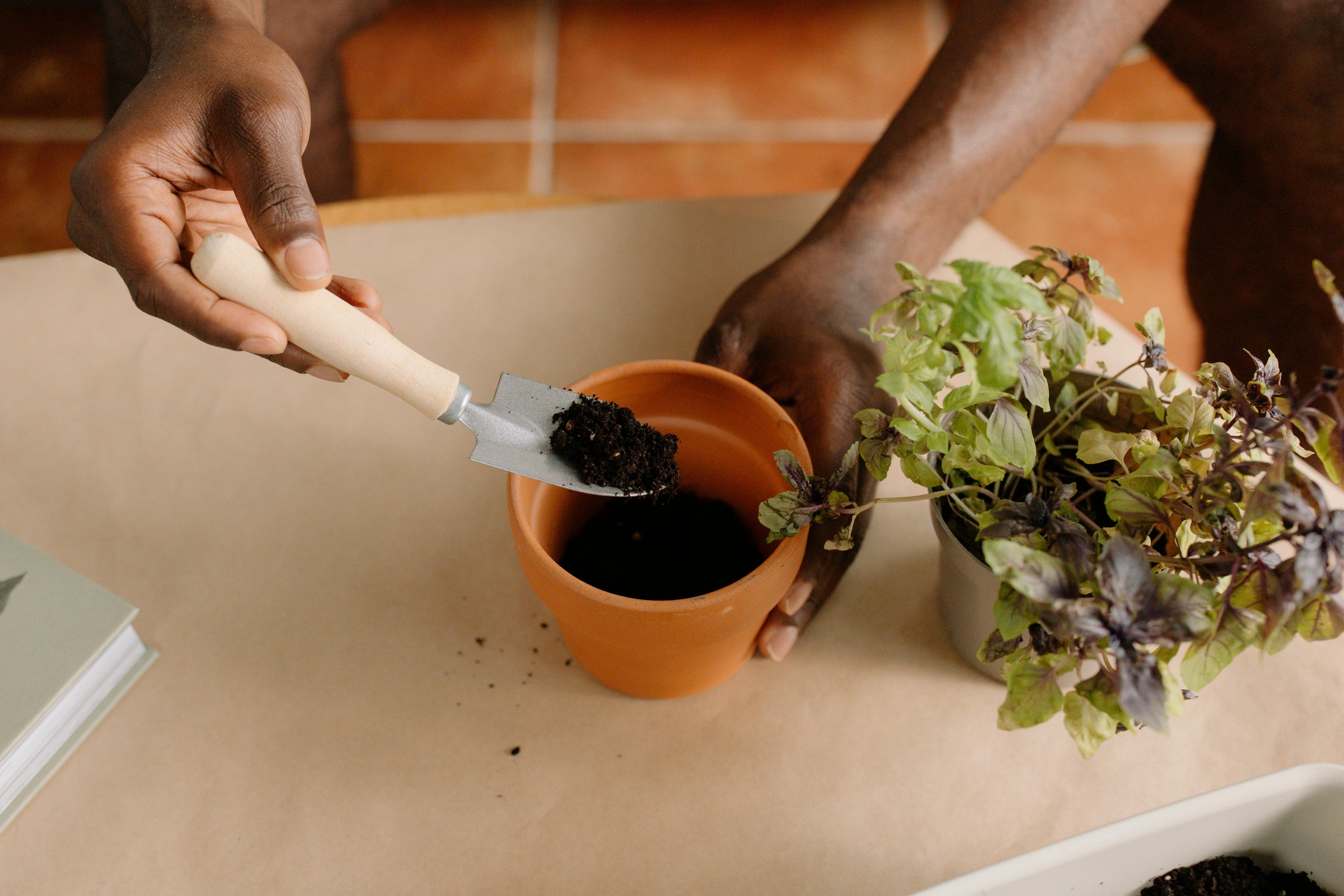 Compost Refills
